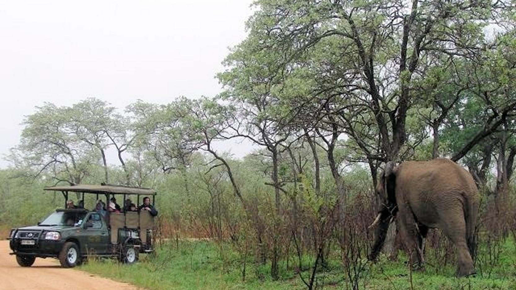 Best Time to Visit South Africa | Newmarket Holidays